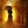Смотреть профиль пользователя.