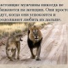 Смотреть профиль пользователя.