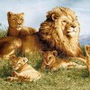 Смотреть профиль пользователя.