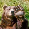 Смотреть профиль пользователя.