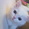 Смотреть профиль пользователя.