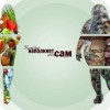 Смотреть профиль пользователя.
