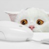 Смотреть профиль пользователя.