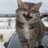 Смотреть профиль пользователя.