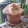 Смотреть профиль пользователя.