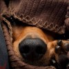 Смотреть профиль пользователя.