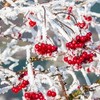 Смотреть профиль пользователя.