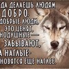 Смотреть профиль пользователя.