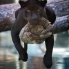Смотреть профиль пользователя.