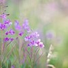 Смотреть профиль пользователя.