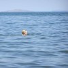Смотреть профиль пользователя.