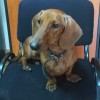Смотреть профиль пользователя.