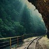Смотреть профиль пользователя.
