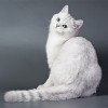 Смотреть профиль пользователя.