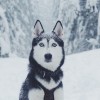 Смотреть профиль пользователя.