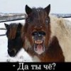 Смотреть профиль пользователя.