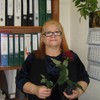 Смотреть профиль пользователя.