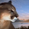 Смотреть профиль пользователя.