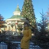Смотреть профиль пользователя.