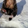 Смотреть профиль пользователя.