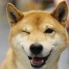 Смотреть профиль пользователя.