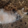 Смотреть профиль пользователя.