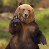 Смотреть профиль пользователя.