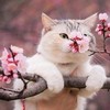 Смотреть профиль пользователя.