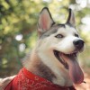 Смотреть профиль пользователя.
