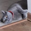 Смотреть профиль пользователя.