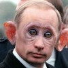 Смотреть профиль пользователя.