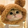 Смотреть профиль пользователя.