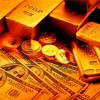 Смотреть профиль пользователя.