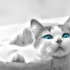 Смотреть профиль пользователя.