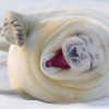 Смотреть профиль пользователя.