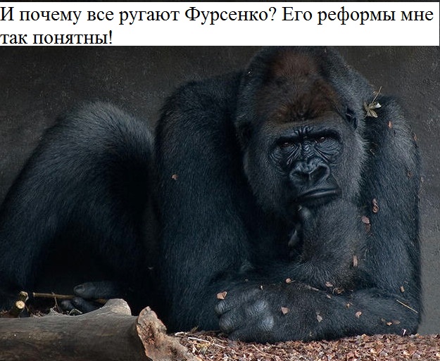 А вам тоже понятны реформы?