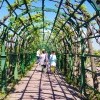 Моё, Санкт-Петербург, город, хорошо