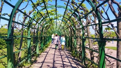 Моё, Санкт-Петербург, город, хорошо