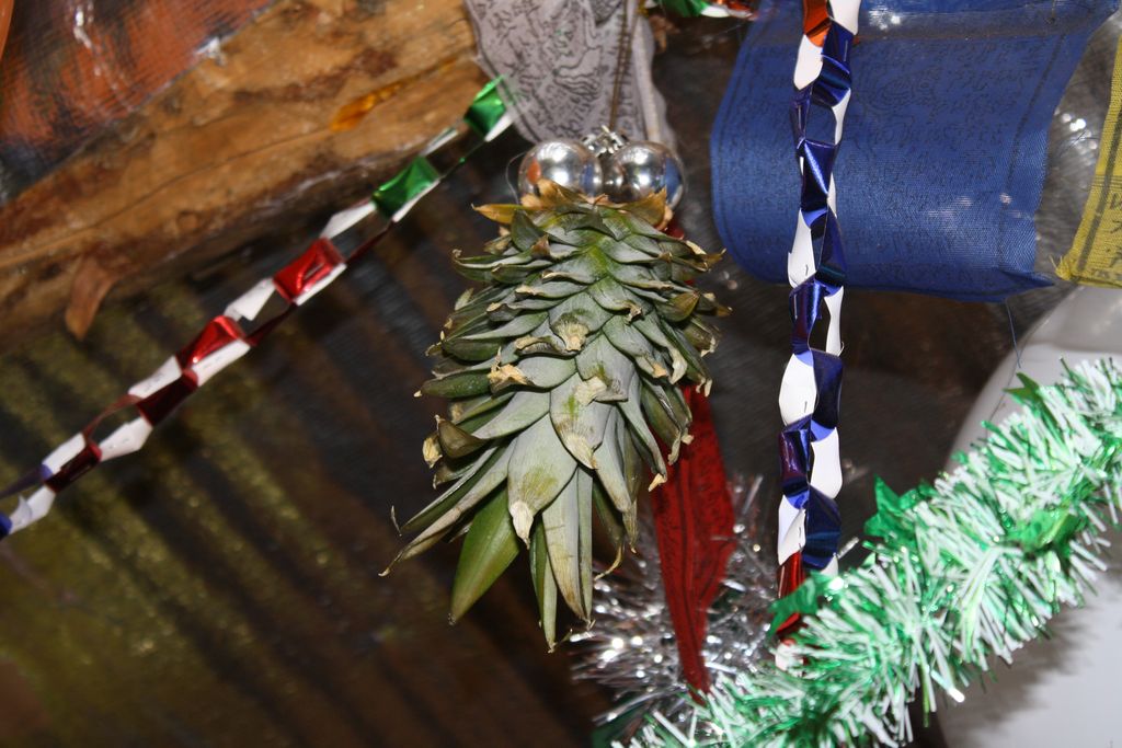 елки бывают разные