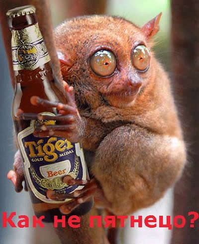 Пятницо!