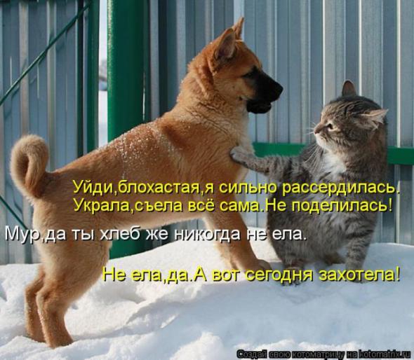 A19e7f94791a58558f9acd2c4f8 prev