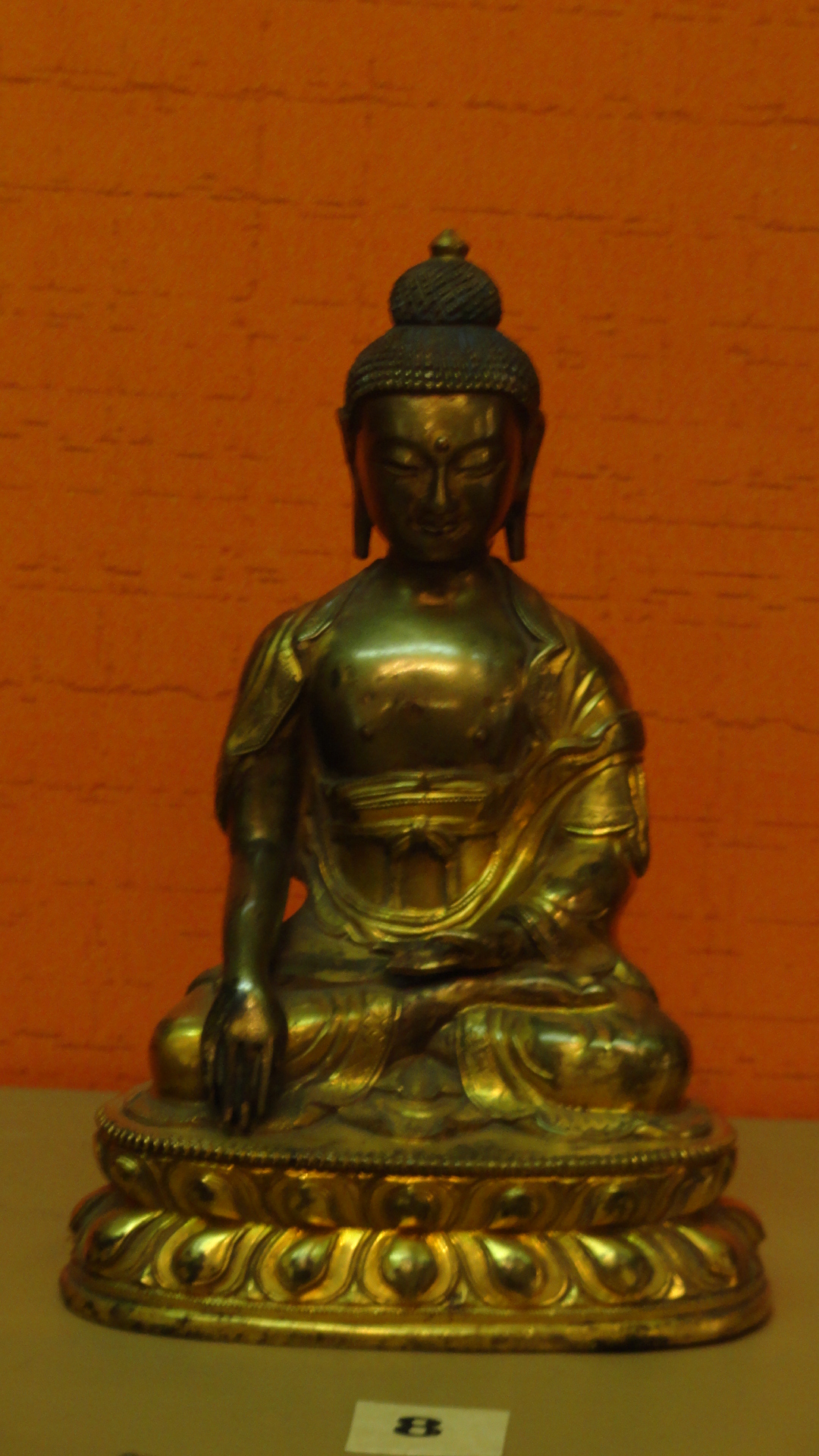DSC03568