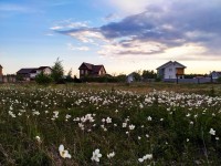 посмотри, в каком красивом месте ты живешь