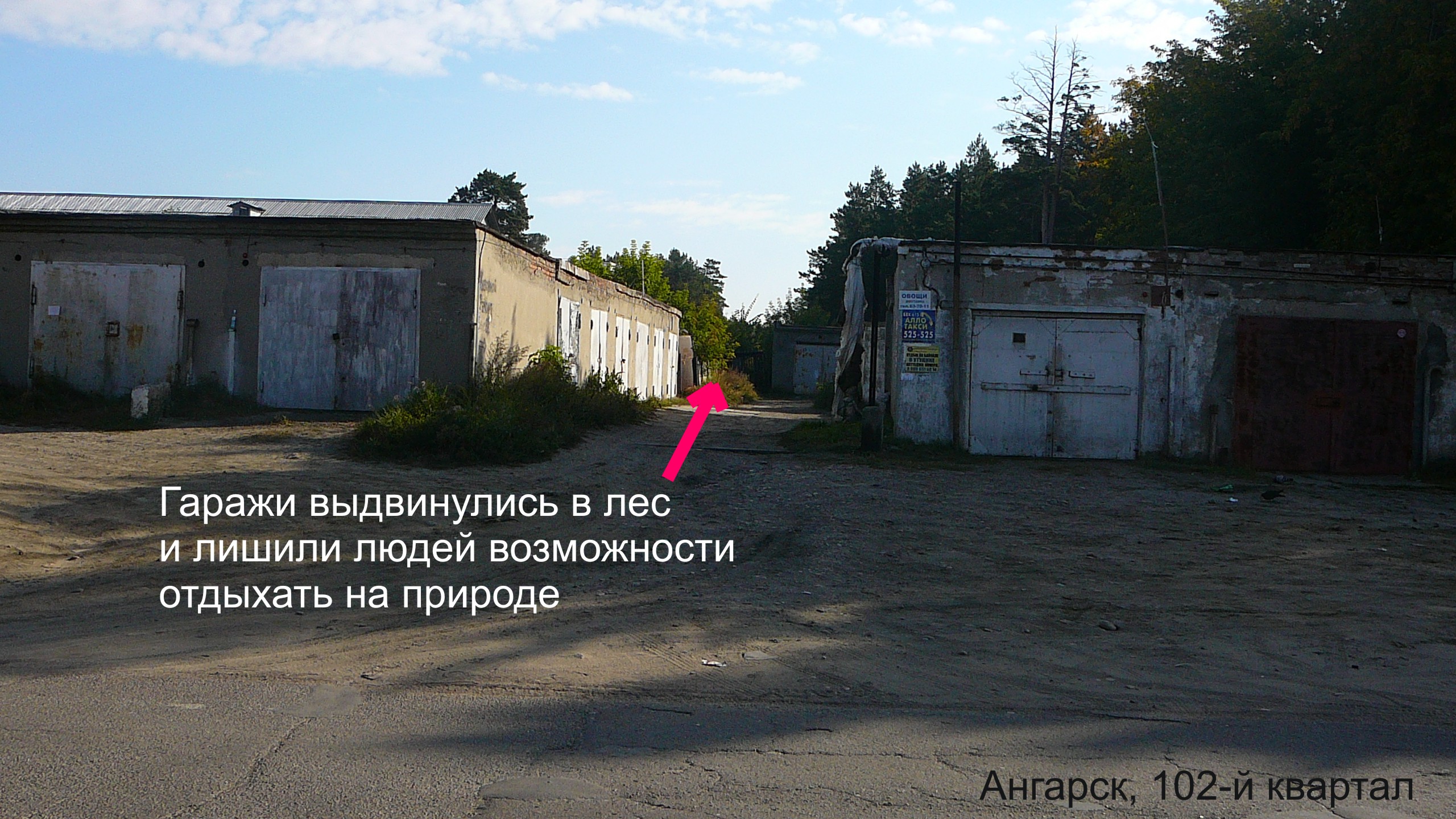 Гаражи выдвинулись в лес ()