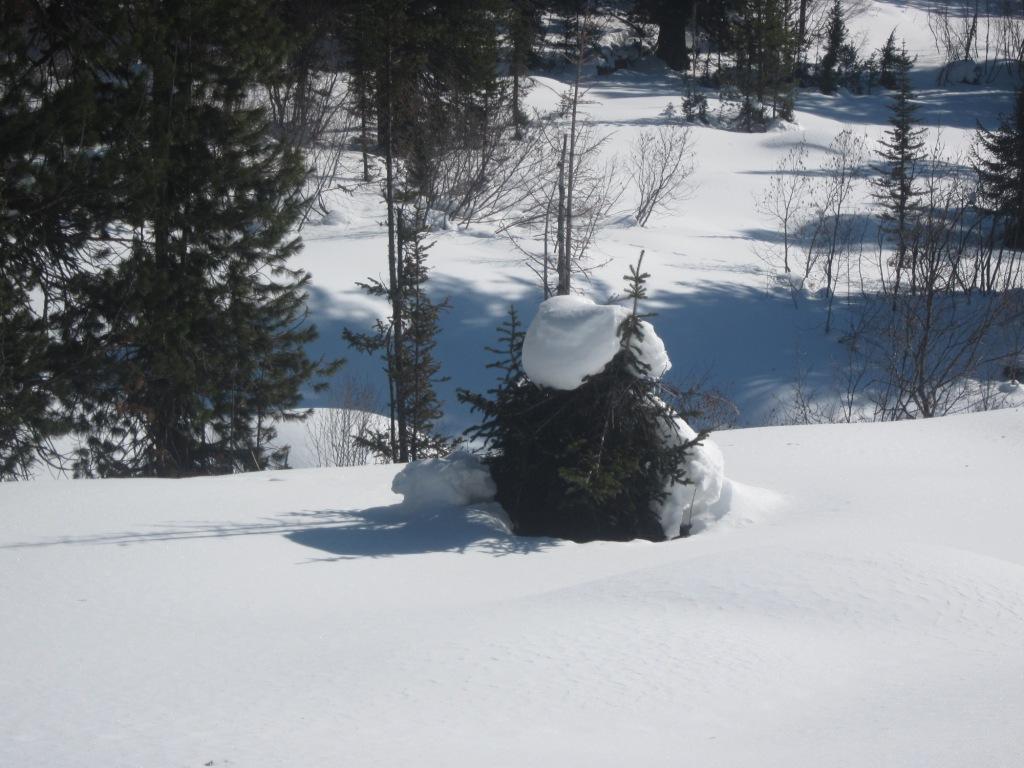 Плюх на голову.