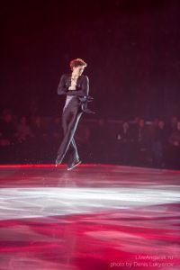 ЗолотойЛёд-010