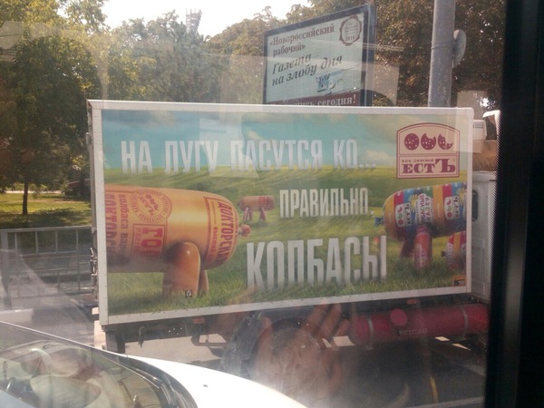 На лугу пасутся ко...