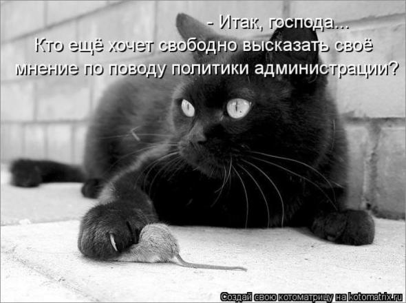 Ce3defbb1adcd195968db411d96 prev