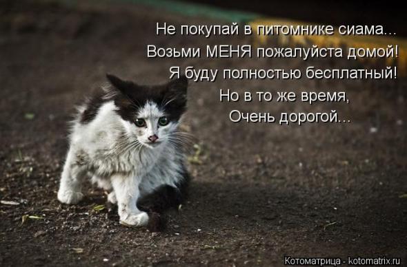 E75c93db749f99e08d0840df83f prev