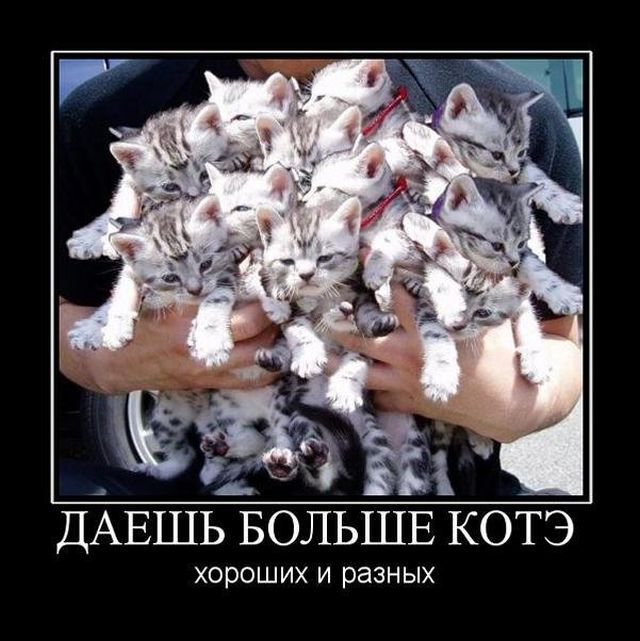 Котэ
